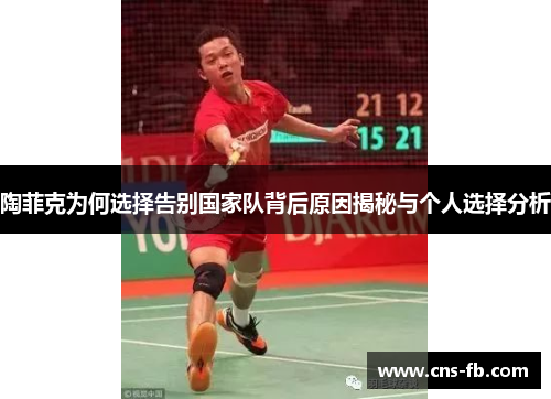 陶菲克为何选择告别国家队背后原因揭秘与个人选择分析