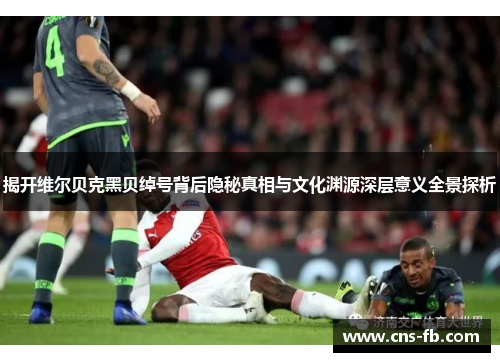 揭开维尔贝克黑贝绰号背后隐秘真相与文化渊源深层意义全景探析