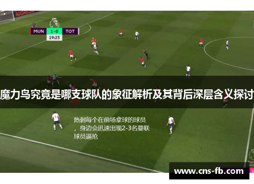 魔力鸟究竟是哪支球队的象征解析及其背后深层含义探讨