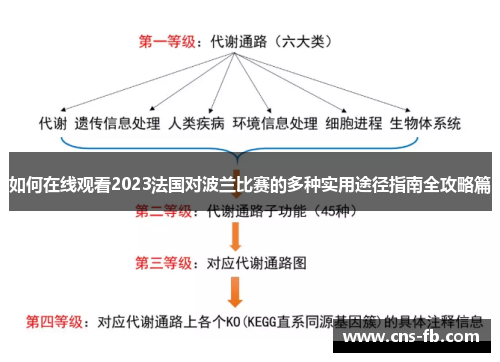 如何在线观看2023法国对波兰比赛的多种实用途径指南全攻略篇