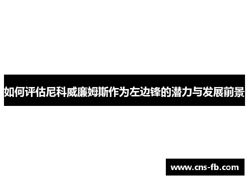 如何评估尼科威廉姆斯作为左边锋的潜力与发展前景