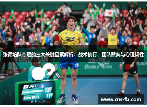 张德培队夺冠的三大关键因素解析：战术执行、团队默契与心理韧性