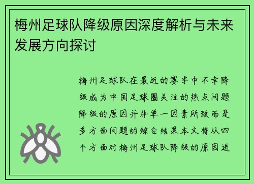 梅州足球队降级原因深度解析与未来发展方向探讨 梅州足球队降级原因深度解析与未来发展方向探讨