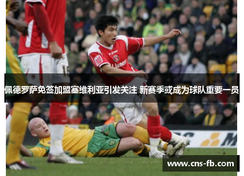 佩德罗萨免签加盟塞维利亚引发关注 新赛季或成为球队重要一员