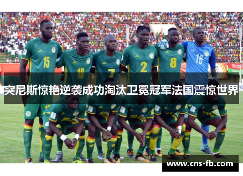 突尼斯惊艳逆袭成功淘汰卫冕冠军法国震惊世界 突尼斯惊艳逆袭成功淘汰卫冕冠军法国震惊世界