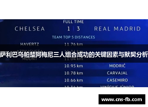 萨利巴乌帕楚阿梅尼三人组合成功的关键因素与默契分析